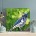 Red Barrel Studio® Blue & Gray Bird - 1 Piece Rectangle Graphic Art Print On Wrapped Canvas Metal in Blue/Gray/Green | 32 H x 32 W x 2 D in | Wayfair