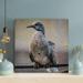 Latitude Run® Brown & Gray Bird On Gray Bar - 1 Piece Rectangle Graphic Art Print On Wrapped Canvas in Black/Gray | 32 H x 32 W x 2 D in | Wayfair