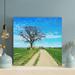 Rosalind Wheeler Leafless Tree On Green Grass Field Under Blue Sky During Daytime - 1 Piece Square Graphic Art Print On Wrapped Canvas | Wayfair