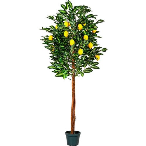 Plantasia - ® Zitronenbaum, Kunstpflanze, Kunstbaum, 180cm
