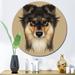 Red Barrel Studio® Portrait of Collie Dog - Unframed Graphic Art on Metal in Black/Brown/Green | 23 H x 23 W x 1 D in | Wayfair