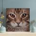 Latitude Run® Brown & White Tabby Cat 1 - 1 Piece Square Graphic Art Print On Wrapped Canvas in Brown/White | 12 H x 12 W x 2 D in | Wayfair