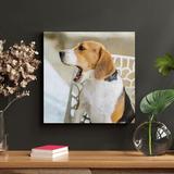 Latitude Run® Tricolor Beagle On Snow Covered Field During Daytime - 1 Piece Rectangle Graphic Art Print On Wrapped Canvas in Brown/White | Wayfair
