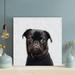 Latitude Run® Pug On White Background - 1 Piece Rectangle Graphic Art Print On Wrapped Canvas in Black | 16 H x 16 W x 2 D in | Wayfair
