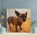 Latitude Run® Short Coated Small Dog - 1 Piece Rectangle Graphic Art Print On Wrapped Canvas Metal in Brown | 32 H x 32 W x 2 D in | Wayfair