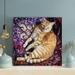 Red Barrel Studio® Orange Tabby Cat 1 - 1 Piece Square Graphic Art Print On Wrapped Canvas in Indigo/Orange/Red | 16 H x 16 W x 2 D in | Wayfair