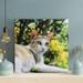 Red Barrel Studio® A Tabby Cat Under Green Tree - 1 Piece Square Graphic Art Print On Wrapped Canvas in Green/White | 12 H x 12 W x 2 D in | Wayfair