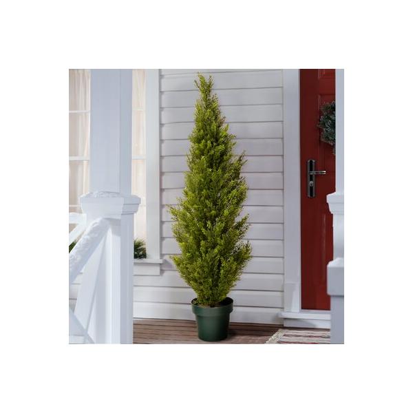 primrue-48"-artificial-cedar-topiary-in-pot-plastic-|-53-h-x-13-w-x-13-d-in-|-wayfair-c0f8793cc4744c99b6bd1e65276af8b8/
