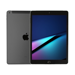 „Apple iPad 10,2″“ WiFi 64GB 9Gen (2021) grau“