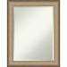 Gracie Oaks Elegant Brushed Framed Decorative Wall Mirror Plastic | 28.75 H x 22.75 W x 1.375 D in | Wayfair 84932D4FF3414838A396E8CF4BF7C787