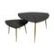 Lot de 2 tables gigognes finition bois et pieds en métal doré