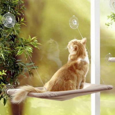 Shop-story - cat bed: Fensterhängematte für Katzen