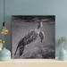 Bayou Breeze Black & White Sea Turtle In Water - 1 Piece Square Graphic Art Print On Wrapped Canvas in Gray/White | 12 H x 12 W x 2 D in | Wayfair
