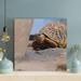 Bayou Breeze And Black Turtle On Gray Concrete Floor - 1 Piece Square Graphic Art Print On Wrapped Canvas in Brown | 12 H x 12 W x 2 D in | Wayfair