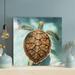 Bayou Breeze Brown Turtle Swimming In Water - 1 Piece Square Graphic Art Print On Wrapped Canvas in Blue/Brown | 16 H x 16 W x 2 D in | Wayfair