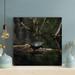 Bayou Breeze back Sea Turtle On A Trunk On A River - 1 Piece Square Graphic Art Print On Wrapped Canvas in Black | 16 H x 16 W x 2 D in | Wayfair