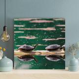 Bayou Breeze Turtles On A Trunk Under Sunlight - 1 Piece Square Graphic Art Print On Wrapped Canvas - Wrapped Canvas Painting Canvas | Wayfair