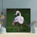 Bayou Breeze White Flamingo On Green Grass During Daytime - 1 Piece Square Graphic Art Print On Wrapped Canvas-649 Canvas in Green/White | Wayfair