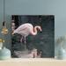 Bayou Breeze Pink Flamingo on Body of Water During Daytime 9 - Wrapped Canvas Painting Canvas in Pink/White | 12 H x 12 W in | Wayfair