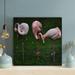 Bayou Breeze Pink Flamingos On Green Grass During Daytime 6 - 1 Piece Square Graphic Art Print On Wrapped Canvas-513 Canvas in Green/White | Wayfair