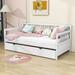 Red Barrel Studio® Pearces Daybed Wood Bed w/ Twin Size Trundle Wood in White | 35 H x 42 W x 78 D in | Wayfair EB9EE22A350943078950FD84B6F3F582