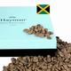 Hayman Coffee, 100% Blue Mountain Coffee from Jamaica, Green Coffee Beans | Coffee Roast Level: Unroasted, Unit Count: 1 x 200g/7oz