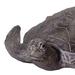 Bayou Breeze Fornah Sea Turtle Statue Resin/Plastic in Gray | 7.48 H x 21.6 W x 18.9 D in | Wayfair DC767F6A60AE469FAA75E76488387E2F