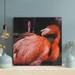 Bayou Breeze a Red Flamingo in Tilt Lens Wrapped Canvas Painting Canvas in Pink | 16 H x 16 W x 2 D in | Wayfair BB9DD4C6A750457FA6CECC452DE1D066