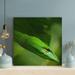 Latitude Run® Close-Up Photography Of Green Snake - 1 Piece Square Graphic Art Print On Wrapped Canvas in Green/Yellow | Wayfair