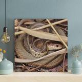 Latitude Run® Brown & Black Snake On Brown Wooden Sticks - Wrapped Canvas Painting Canvas in Black/Brown | 12 H x 12 W x 2 D in | Wayfair