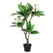 3ft Cream Artificial Plumeria Flower Tree Tropical Plant in Black Pot - 36" H x 20" W x 17" DP