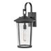 Birch Lane™ Cocci Black Seeded Glass Outdoor Wall Lantern Aluminum/Glass/Metal in Black/Gray | 22 H x 10.5 W x 11.7 D in | Wayfair