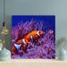 Rosecliff Heights Clown Fish On Coral Reef - 1 Piece Square Graphic Art Print On Wrapped Canvas in Black/Blue/Orange | 12 H x 12 W x 2 D in | Wayfair