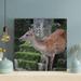 Loon Peak® Brown Deer On Gray Concrete Steps - 1 Piece Square Graphic Art Print On Wrapped Canvas in Brown/Gray | 12 H x 12 W x 2 D in | Wayfair