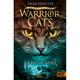 Licht Im Nebel / Warrior Cats Staffel 7 Bd.6 - Erin Hunter, Gebunden
