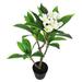 Primrue 27" Artificial Plumeria Tree in Pot Plastic/Fabric | 27 H x 20 W x 17 D in | Wayfair 0C962BEA4EB04424930BF164ACF7A9C9