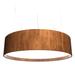 Accord Lighting Accord Studio Cylindrical 31 Inch LED Large Pendant - 204LED.02