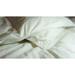 Twin Ducks Hutterite White Goose Down Duvet-Palermo