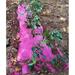 Agfabric Mulch Garden Plastic Film Pink 1.2Mil