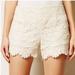 Anthropologie Shorts | Anthropologie Dolce Vita Lacetile Shorts In Ivory Size 4 | Color: Cream/White | Size: 4