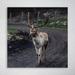 Loon Peak® Brown Deer On Road During Daytime 1 - 1 Piece Square Graphic Art Print On Wrapped Canvas in Gray/Green/White | Wayfair