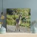 Loon Peak® Brown Deer On Road 2 - 1 Piece Square Graphic Art Print On Wrapped Canvas in Gray/Green | 16 H x 16 W x 2 D in | Wayfair