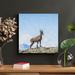Loon Peak® Brown Deer Standing On Mountain During Daytime - 1 Piece Square Graphic Art Print On Wrapped Canvas in Blue/Gray | Wayfair