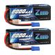 Zeee 3S Lipo Battery 8000mAh 11.1V 100C RC Battery Hard case with EC5 Plug for 1/8 1/10 RC Car Model Buggy Team Associated(2 Packs)
