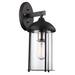 Trent Austin Design® 1 - Bulb 16.5" H Outdoor Wall Lantern Glass/Metal in Black | 16.5 H x 6 W x 8.5 D in | Wayfair