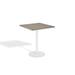 Oxford Garden Travira Square Bar Outdoor Table Wood/Metal in Gray/White/Brown | 41.5 H x 38 W x 38 D in | Wayfair TV36SBRV-PC.W