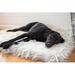 Tucker Murphy Pet™ Powhattan Puprug Runner Faux Fur Memory Foam Dog Mat Polyester/Memory Foam in Gray, Size 72.0 H x 28.0 W in | Wayfair