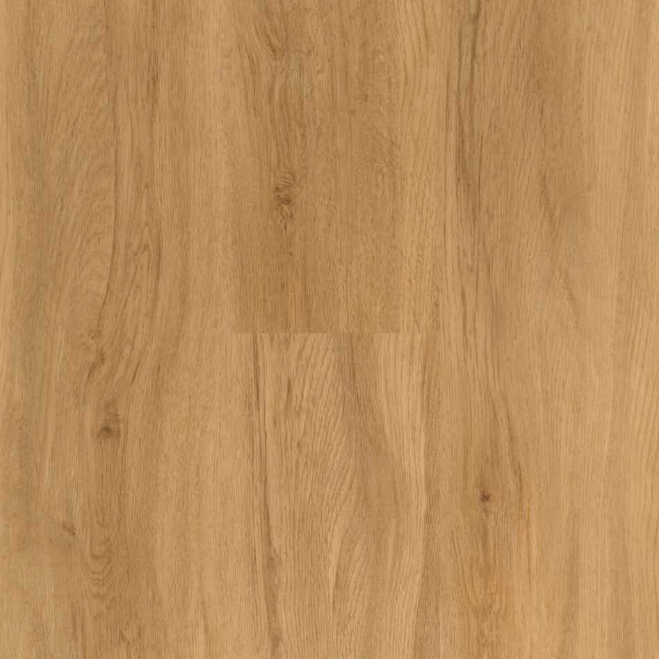 Parador Vinyl Designboden Basic 2.0 Eiche Sierra Natur Holzdekor Landhausdiele Image