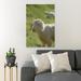 Rosalind Wheeler White Sheep On Grass During Daytime 7 - 1 Piece Rectangle Graphic Art Print On Wrapped Canvas in Green | Wayfair