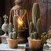 RusticReach Artificial Cactus in Brown Pot